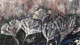 1spIYzq4dMZcO4RiFzoIA-Peace V2 - AT.jpg