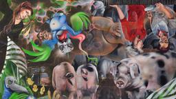 XSL4HeyR1MQtZJ-thE2Ii-TSIW - 169.jpg