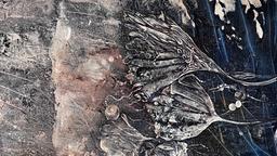 eDXh3e3Xri_RXB42LhDCU-Peace V3 - AT.jpg